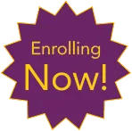 PhD in Computer Science and Engineering