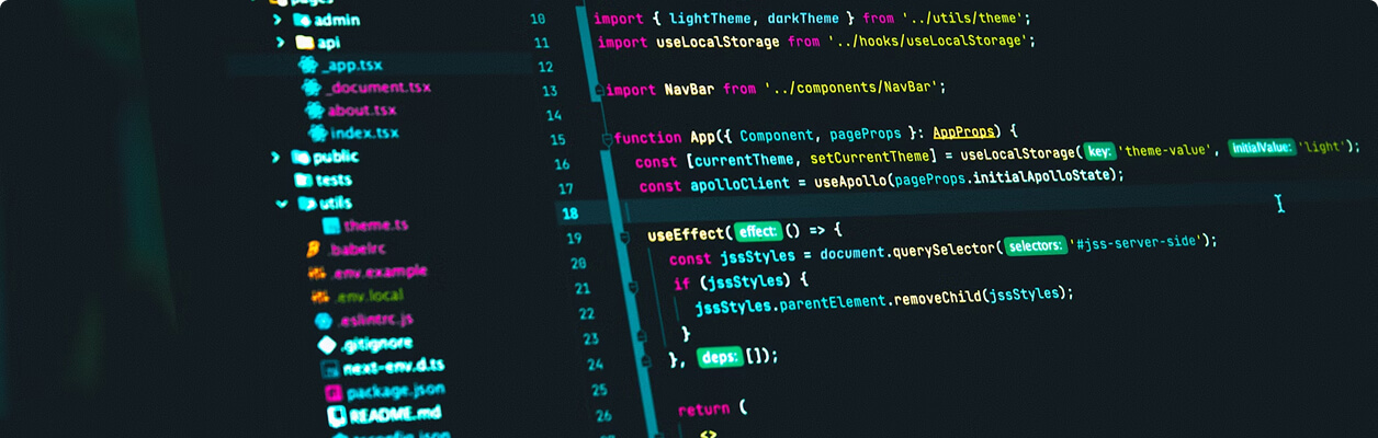 Bachelor of Science in Software Development
